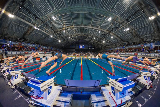 Swimming World Cup